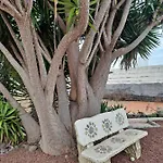 아파트 Tenerife Casa De Sancho Pansa With Terrace And Garden 600m2 And Ocean And Teide View 이코드레로스비노스