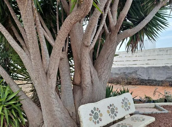 Apartmán Tenerife Casa De Sancho Pansa With Terrace And Garden 600m2 And Ocean And Teide View Icod De Los Vinos