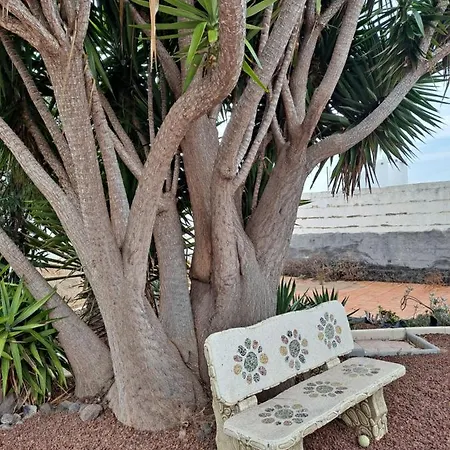 Апартаменты Tenerife Casa De Sancho Pansa With Terrace And Garden 600m2 And Ocean And Teide View Икод-де-лос-Винос